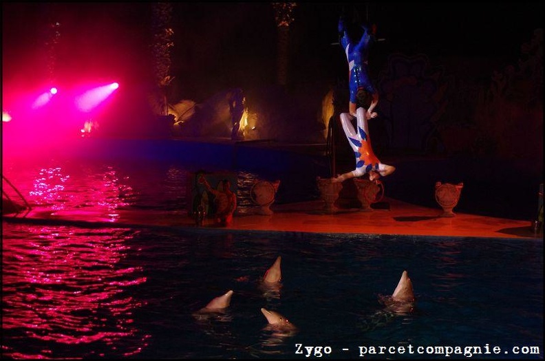 Marineland - Dauphins - Spectacle nocturne - 1574