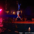 Marineland - Dauphins - Spectacle nocturne - 1575