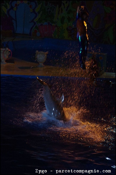 Marineland - Dauphins - Spectacle nocturne - 1601