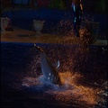 Marineland - Dauphins - Spectacle nocturne - 1601