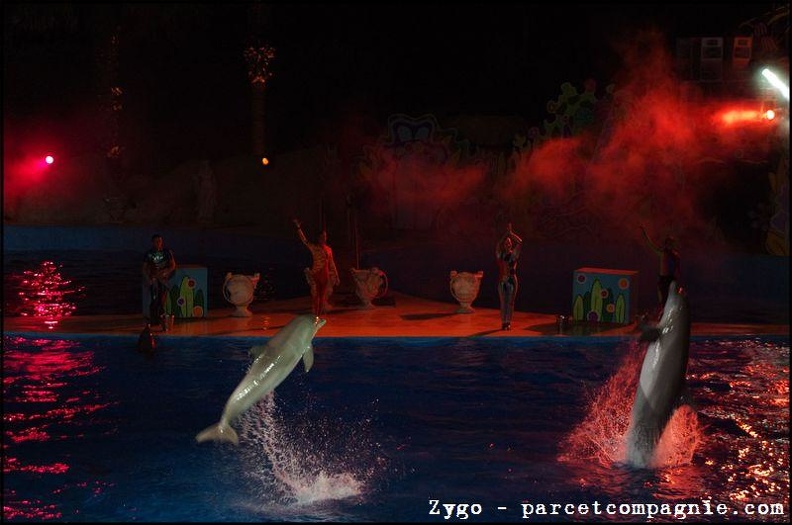 Marineland - Dauphins - Spectacle nocturne - 1602