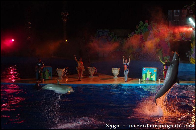 Marineland - Dauphins - Spectacle nocturne - 1603