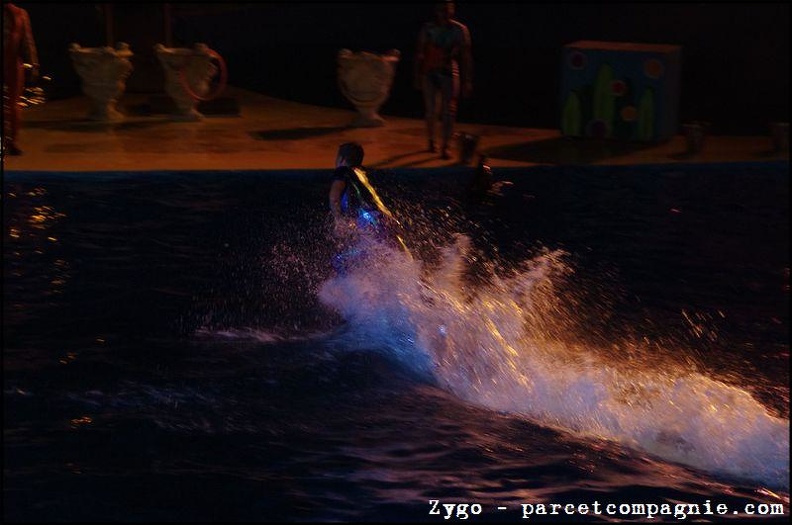 Marineland - Dauphins - Spectacle nocturne - 1604