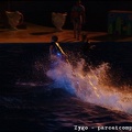 Marineland - Dauphins - Spectacle nocturne - 1604
