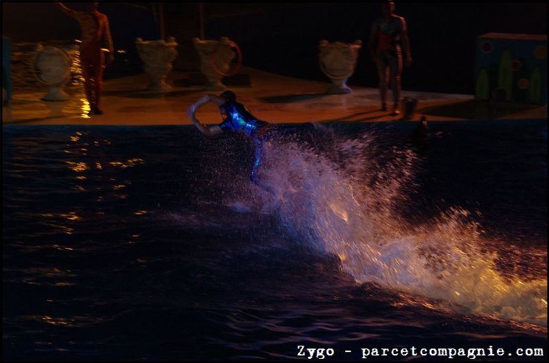 Marineland - Dauphins - Spectacle nocturne - 1605