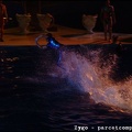 Marineland - Dauphins - Spectacle nocturne - 1605