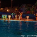 Marineland - Dauphins - Spectacle nocturne - 1658