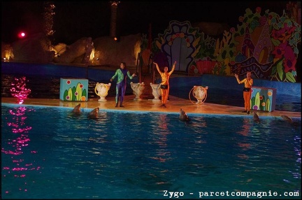 Marineland - Dauphins - Spectacle nocturne - 1658