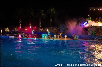 Marineland - Dauphins - Spectacle nocturne - 1664