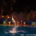 Marineland - Dauphins - Spectacle nocturne - 1667