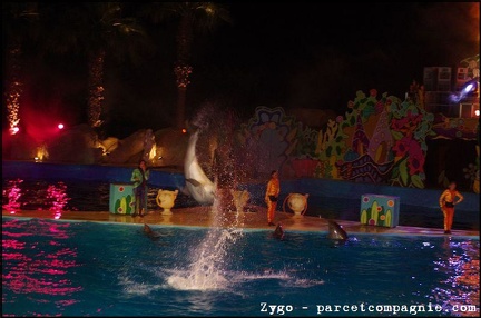 Marineland - Dauphins - Spectacle nocturne - 1667