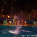 Marineland - Dauphins - Spectacle nocturne - 1668