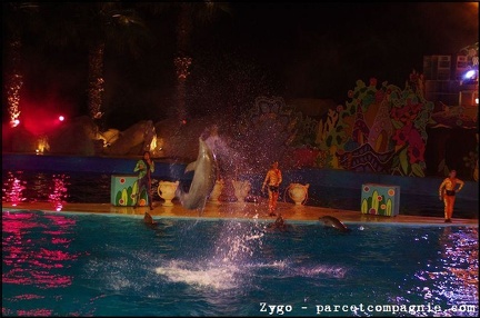 Marineland - Dauphins - Spectacle nocturne - 1668