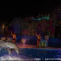 Marineland - Dauphins - Spectacle nocturne - 1673