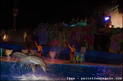 Marineland - Dauphins - Spectacle nocturne - 1673