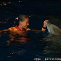 Marineland - Dauphins - Spectacle nocturne - 1676