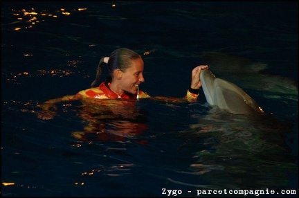 Marineland - Dauphins - Spectacle nocturne - 1676