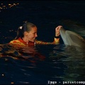 Marineland - Dauphins - Spectacle nocturne - 1677