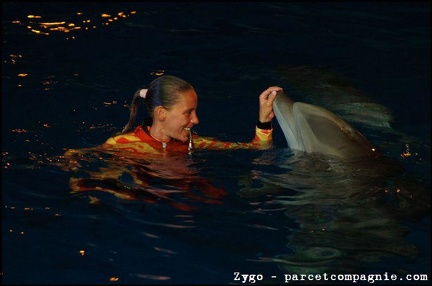 Marineland - Dauphins - Spectacle nocturne - 1677