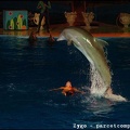Marineland - Dauphins - Spectacle nocturne - 1679