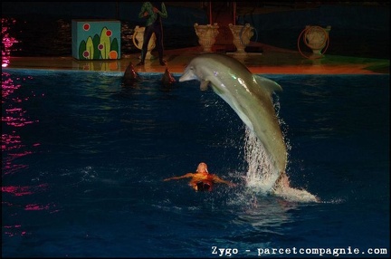 Marineland - Dauphins - Spectacle nocturne - 1679