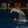 Marineland - Dauphins - Spectacle nocturne - 1680