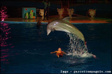 Marineland - Dauphins - Spectacle nocturne - 1680