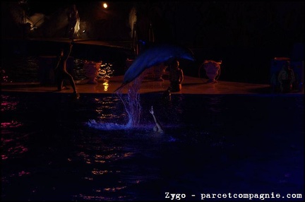 Marineland - Dauphins - Spectacle nocturne - 1689