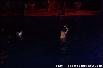 Marineland - Dauphins - Spectacle nocturne - 1690