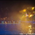 Marineland - Dauphins - Spectacle nocturne - 1695