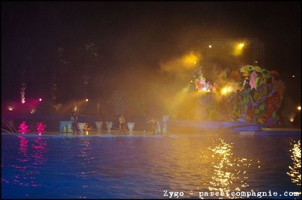 Marineland - Dauphins - Spectacle nocturne - 1695