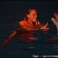 Marineland - Dauphins - Spectacle nocturne - 1699