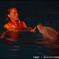 Marineland - Dauphins - Spectacle nocturne - 1701