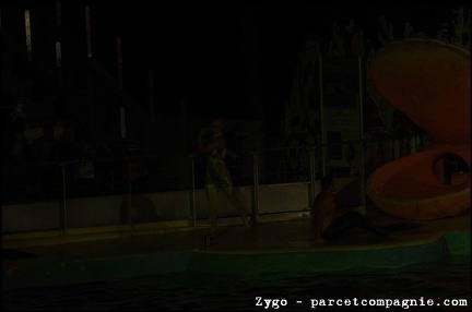 Marineland - Dauphins - Spectacle nocturne - 1705