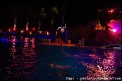 Marineland - Dauphins - Spectacle nocturne - 1726