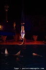 Marineland - Dauphins - Spectacle nocturne - 1728