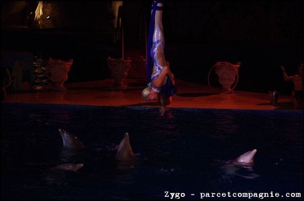 Marineland - Dauphins - Spectacle nocturne - 1730