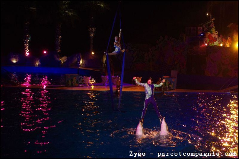 Marineland - Dauphins - Spectacle nocturne - 1733
