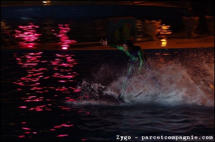 Marineland - Dauphins - Spectacle nocturne - 1736