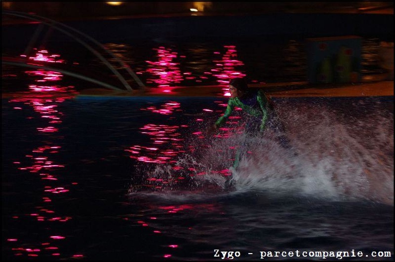 Marineland - Dauphins - Spectacle nocturne - 1737