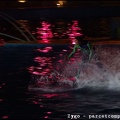 Marineland - Dauphins - Spectacle nocturne - 1737