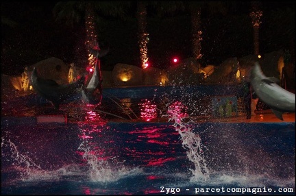 Marineland - Dauphins - Spectacle nocturne - 1739