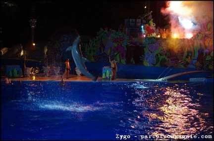 Marineland - Dauphins - Spectacle nocturne - 1740