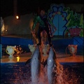 Marineland - Dauphins - Spectacle nocturne - 1741