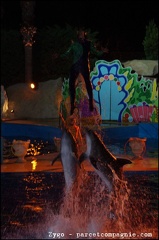 Marineland - Dauphins - Spectacle nocturne - 1742