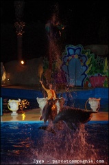 Marineland - Dauphins - Spectacle nocturne - 1743