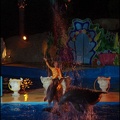 Marineland - Dauphins - Spectacle nocturne - 1743
