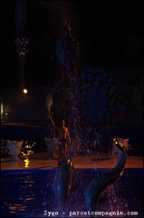Marineland - Dauphins - Spectacle nocturne - 1744