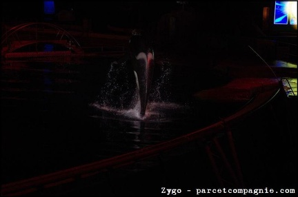 Marineland - Orques - Spectacle nocturne - 1750