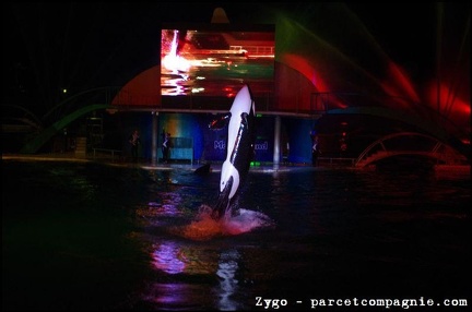 Marineland - Orques - Spectacle nocturne - 1751